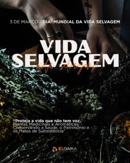 Dia Mundial da Vida Selvagem 2026 🌿
A ONU definiu como tema Plantas Medicinais e Aromáticas — porque elas sustentam saúde, equilíbrio ecológico e meios de subsistência.
Essas espécies estão sob pressão com perda de habitat, sobre-exploração e comércio ilegal. E isso é sério: 70% a 95% das pessoas em países em desenvolvimento dependem da medicina tradicional como principal cuidado de saúde, segundo a OMS.
Proteger essas plantas é proteger vidas, cultura e renda.
03 de março • “Conservando Saúde, Patrimônio e Meios de Subsistência”.
#onu #diamundialdavidaselvagem #meioambientebrasil