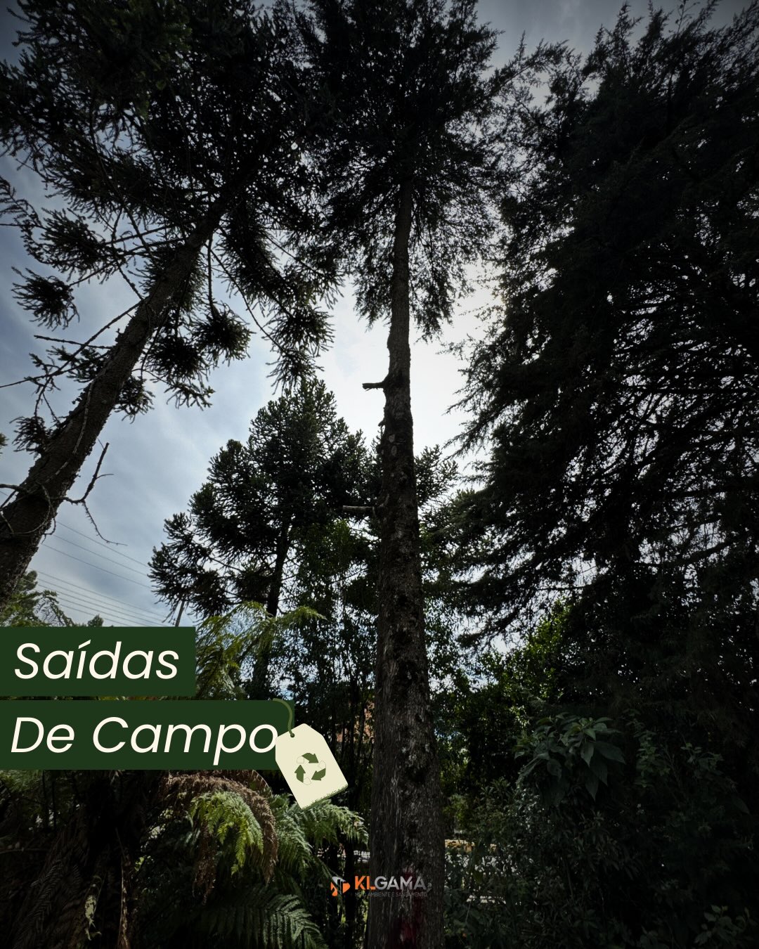 Saídas de campo que fazem a diferença no resultado final.
Nossa bióloga Daniela Pizzetti e a diretora de execuções Camila Hoepers estiveram em Araranguá e São Joaquim, acompanhando atividades técnicas e levantamentos em campo, garantindo que cada etapa seja conduzida com precisão, responsabilidade ambiental e alinhamento com as exigências dos órgãos ambientais.
É no campo que a estratégia se transforma em dados, decisões e soluções seguras para nossos clientes
#saidadecampo #conformidadeambiental #engenhariaambiental #meioambienteagradece