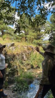 Dia de visita técnica em campo. Camila e Daniela acompanhando de perto o estudo ambiental para canalização, avaliando cada detalhe com atenção para garantir mais segurança e assertividade nas próximas etapas do projeto.
.
.
.
.
#canalizaçao #ambiental #processos #estudoambiental