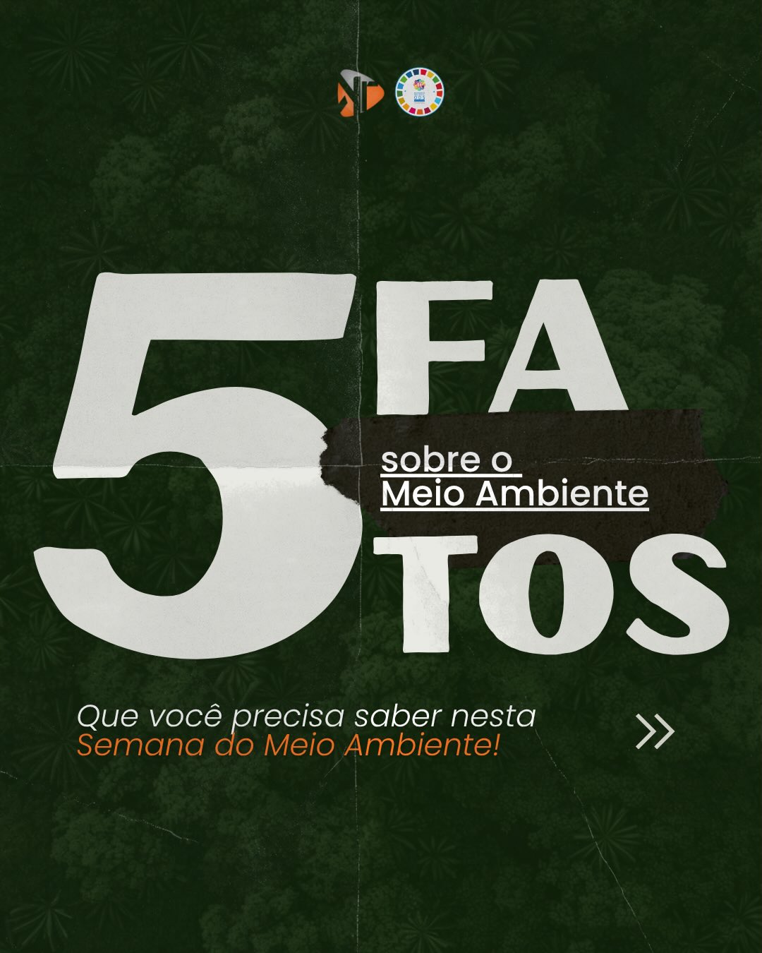 Na Semana do Meio Ambiente, reunimos alguns fatos que mostram por que preservar não é apenas uma escolha, é uma responsabilidade de todos.
Cada ação conta. Cada decisão importa. E o futuro que queremos começa com as atitudes que tomamos hoje.
A terra não espera. E nós também não devemos esperar para agir.
#semanadomeioambiente #meioambienteagradece #sustentabilidade #responsabilidadeambiental