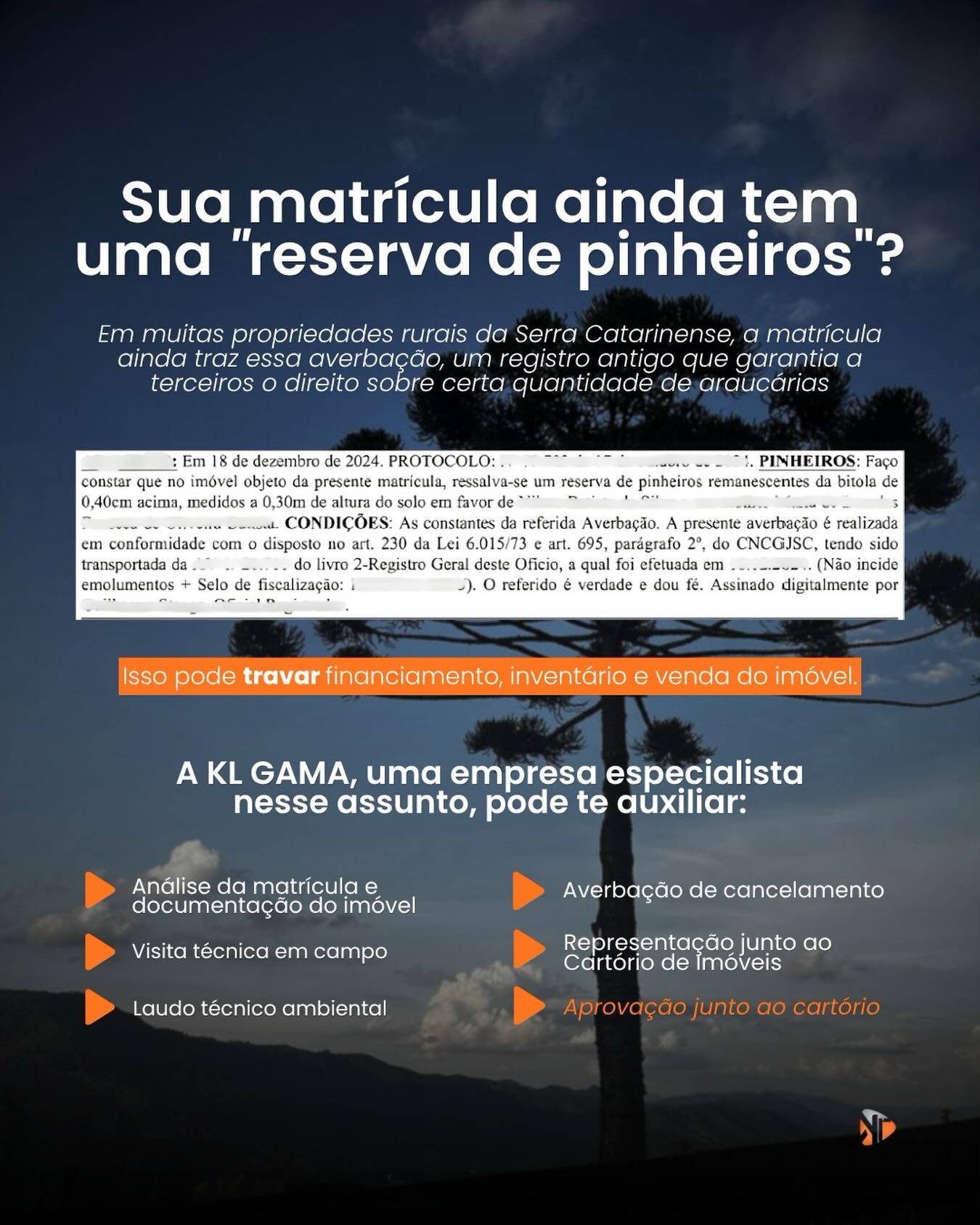 Você sabia que existe um serviço para cancelar “reserva de pinheiros” na matrícula do seu imóvel? 🌲📄
A KL GAMA é especialista nesse tipo de regularização e conduz todo o processo técnico até o cancelamento da averbação junto ao Registro de Imóveis.
Proprietário rural em São Joaquim e região? Vale checar se sua matrícula tem essa restrição.
📩 Fale com a gente.
#sãojoaquimsc #serracatarinense #araucaria